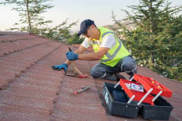 Best Roof Gutter Cleaning  in Soulsbyville, CA